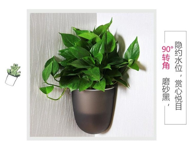 Wall Hanging Self Watering Plant Flower Pot