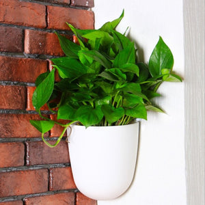 Wall Hanging Self Watering Plant Flower Pot