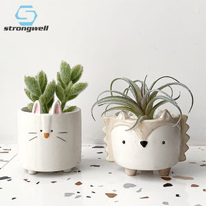 Strongwell Succulent Animal Shape Ceramic Flowerpot