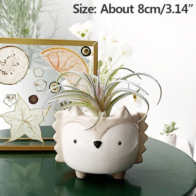 Strongwell Succulent Animal Shape Ceramic Flowerpot