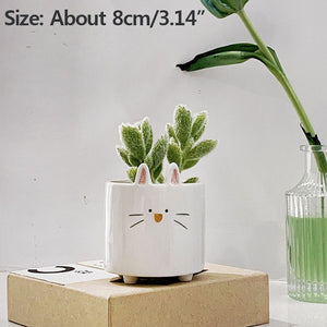 Strongwell Succulent Animal Shape Ceramic Flowerpot