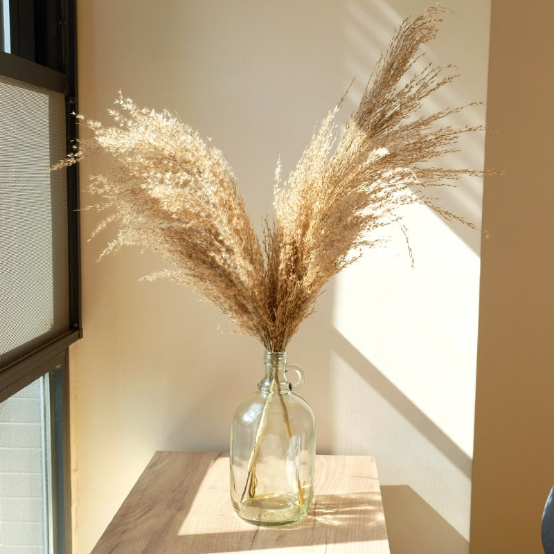 pampas grass decor Flower Pot