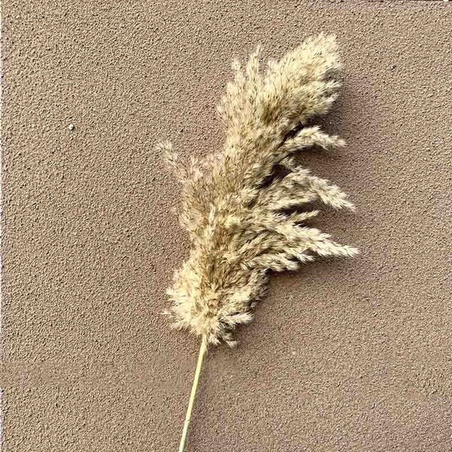 pampas grass decor Flower Pot