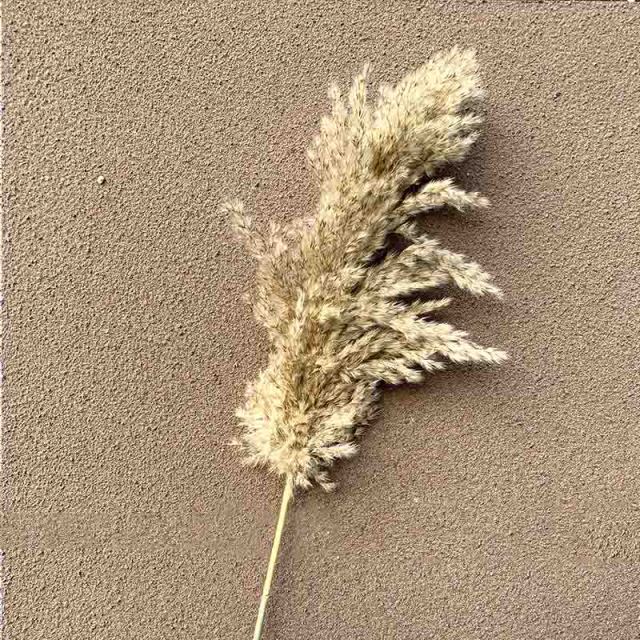 pampas grass decor Flower Pot