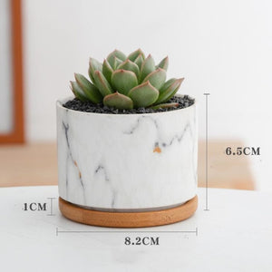 Colorful Marble Round Flower Pot