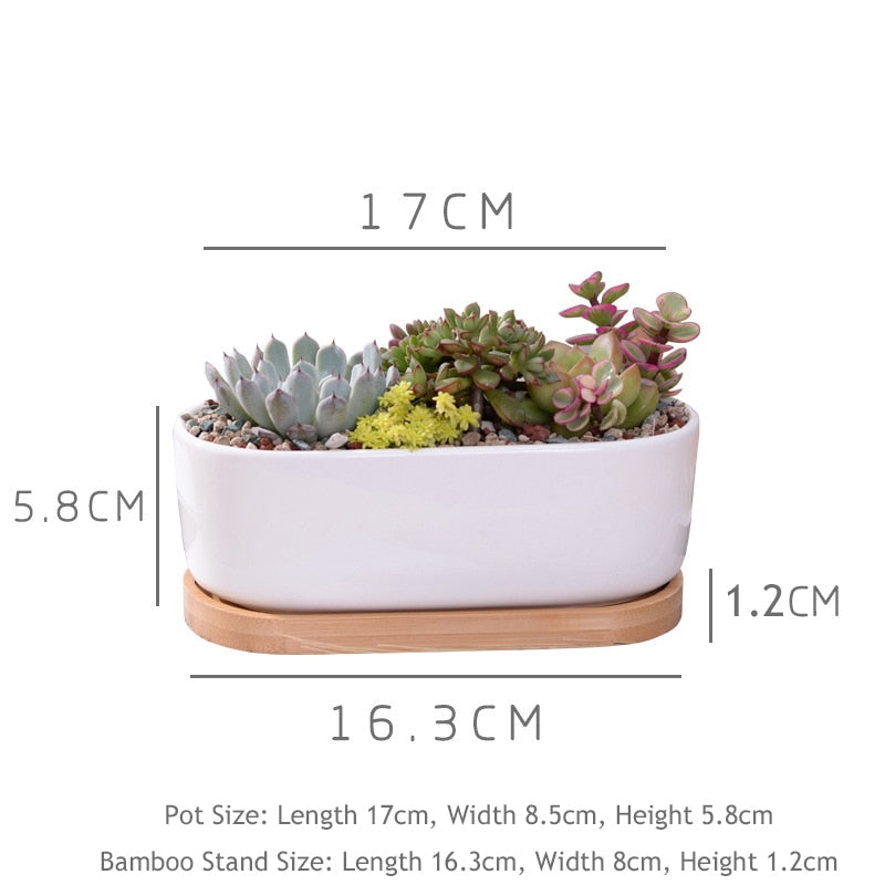 Minimalist White Ceramic Succulent Plant Pot