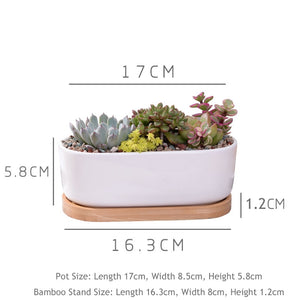 Minimalist White Ceramic Succulent Plant Pot