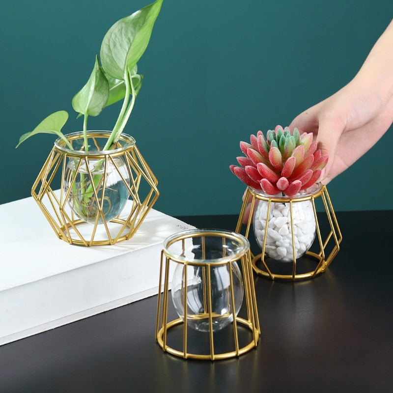 Golden Hydroponic Glass Geometric Flower Plant Vase