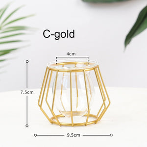 Golden Hydroponic Glass Geometric Flower Plant Vase