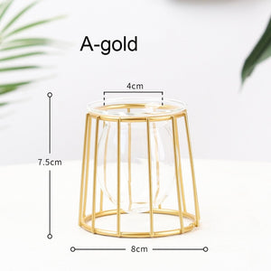 Golden Hydroponic Glass Geometric Flower Plant Vase