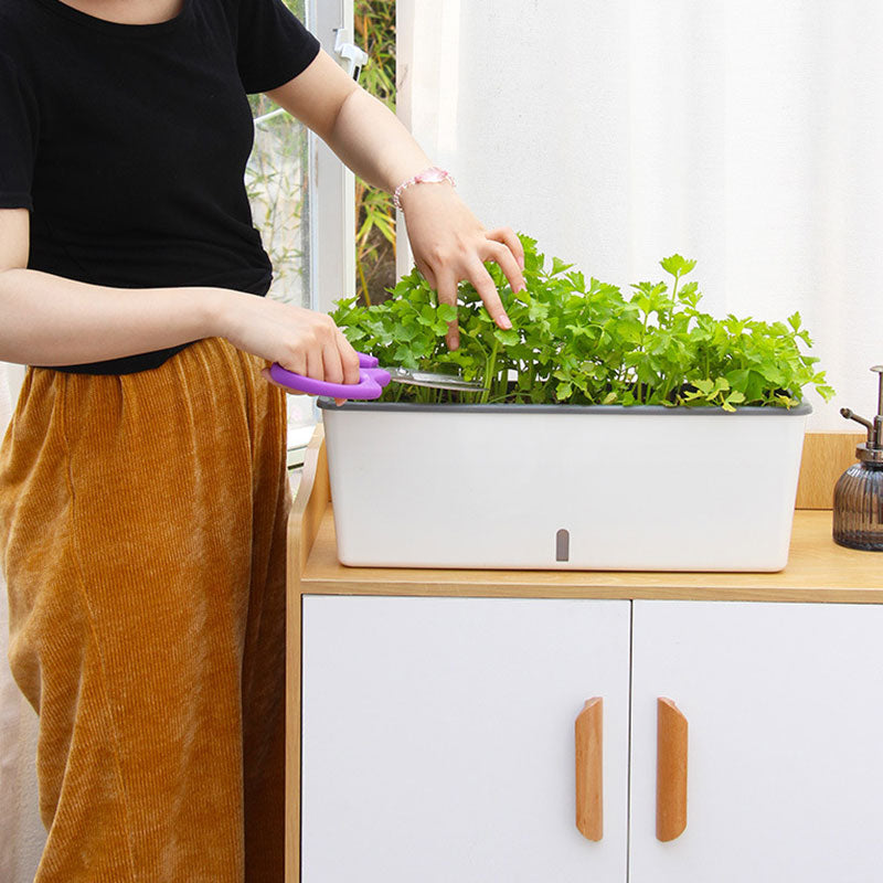 Self-watering Flower Bed