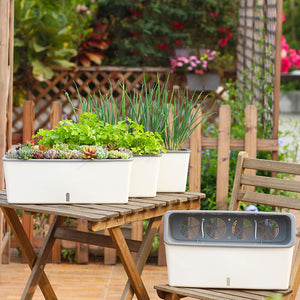 Self-watering Flower Bed