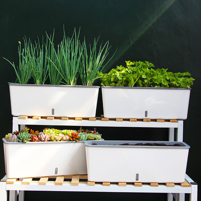 Self-watering Flower Bed