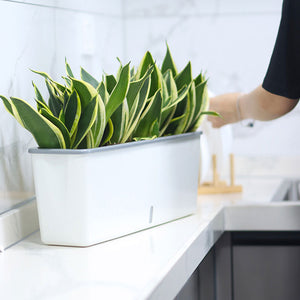 Self-watering Flower Bed