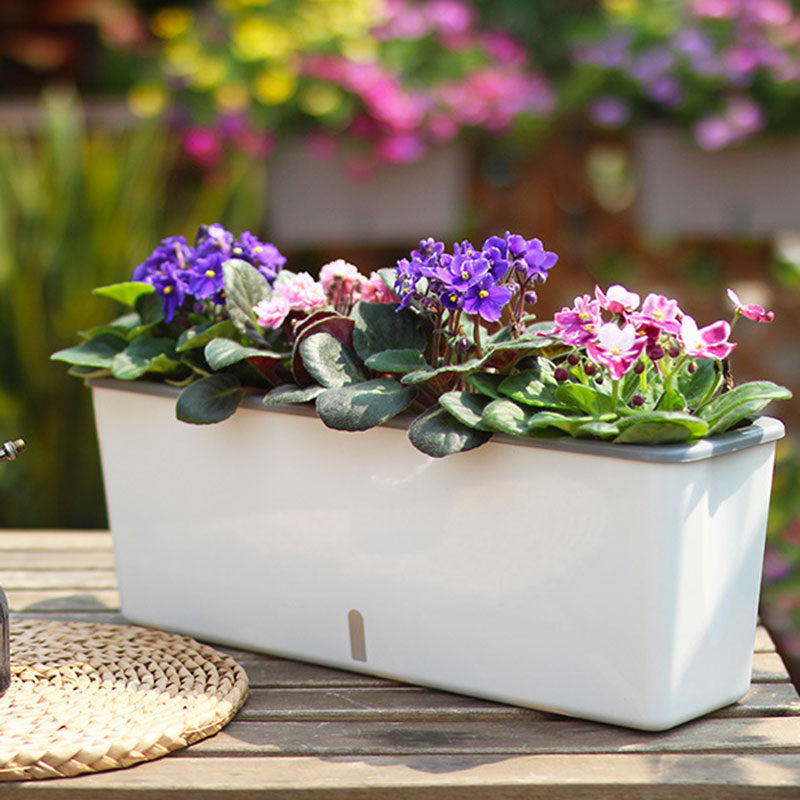 Self-watering Flower Bed