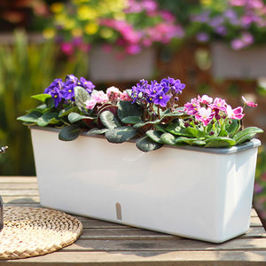 Self-watering Flower Bed