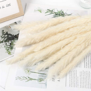 Small Reed Natural Dried Pampas Grass Flower Bunch