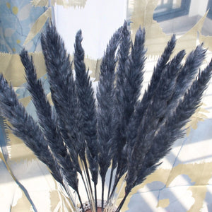 Small Reed Natural Dried Pampas Grass Flower Bunch