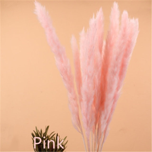 Small Reed Natural Dried Pampas Grass Flower Bunch