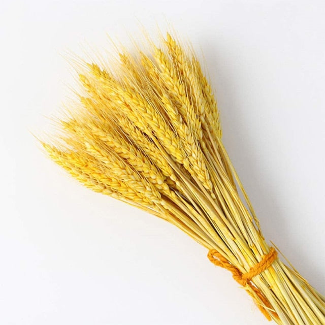 Small Reed Natural Dried Pampas Grass Flower Bunch