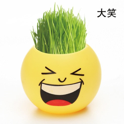 long grass head doll baby pot