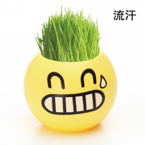 long grass head doll baby pot