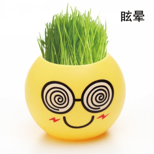 long grass head doll baby pot