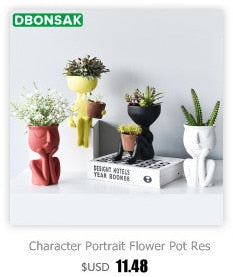 Resin Sculpture Human Face Flower Pot