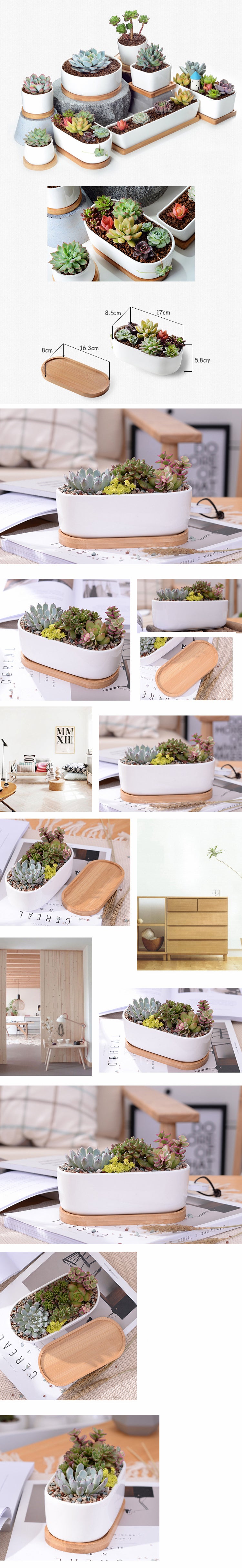 Minimalist White Ceramic Succulent Plant Pot